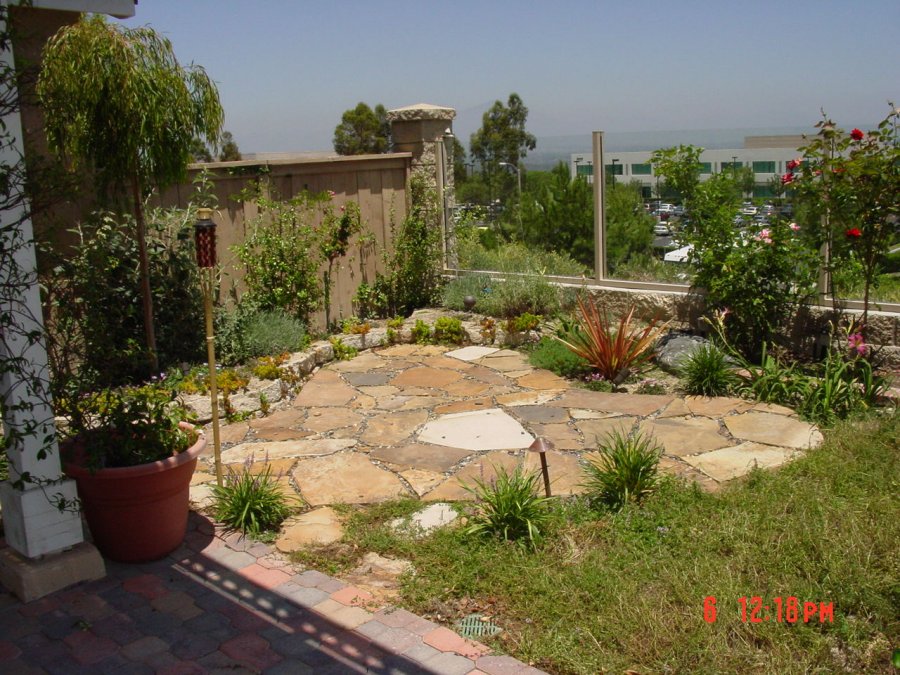 Best Backyard Landscape